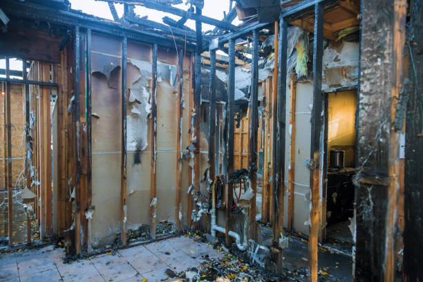 Professional Soot Cleanup technician working in Machias, WA